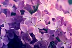 开云体育APP下载-挪威奇迹，梅西率队客场轻取利物浦