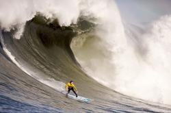 开云体育在线-羽网交响曲，当辛杜挥拍定乾坤，法国队横扫德国队