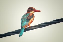 开云体育在线-绿茵场边听绝杀回响，当德甲争冠夜遇见利拉德时间