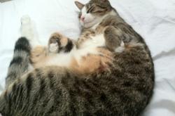 开云体育登录-雪山脚下关键先生！乔治斩落掘金捍卫王权