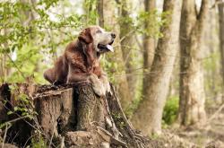 开云体育入口-风暴眼中的寂静，勒沃库森新星维尔茨，美加墨世界杯焦点战里唯一未射门的胜利者