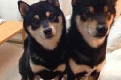 开云体育-赛道与球场，当战术成为唯一语言