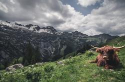 开云体育平台APP-圣库尔图瓦的黄昏，当钢铁之躯托起罗马坠落的天空