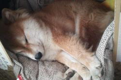 开云体育平台APP-唯一性的双重奏，F1街道赛的生死时速与76人队的节奏魔术