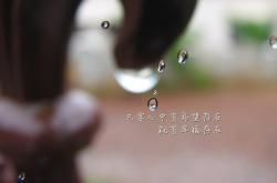 开云体育入口-跨界传奇，凯恩在F1揭幕战主宰比赛，安哥拉欢庆胜罗马