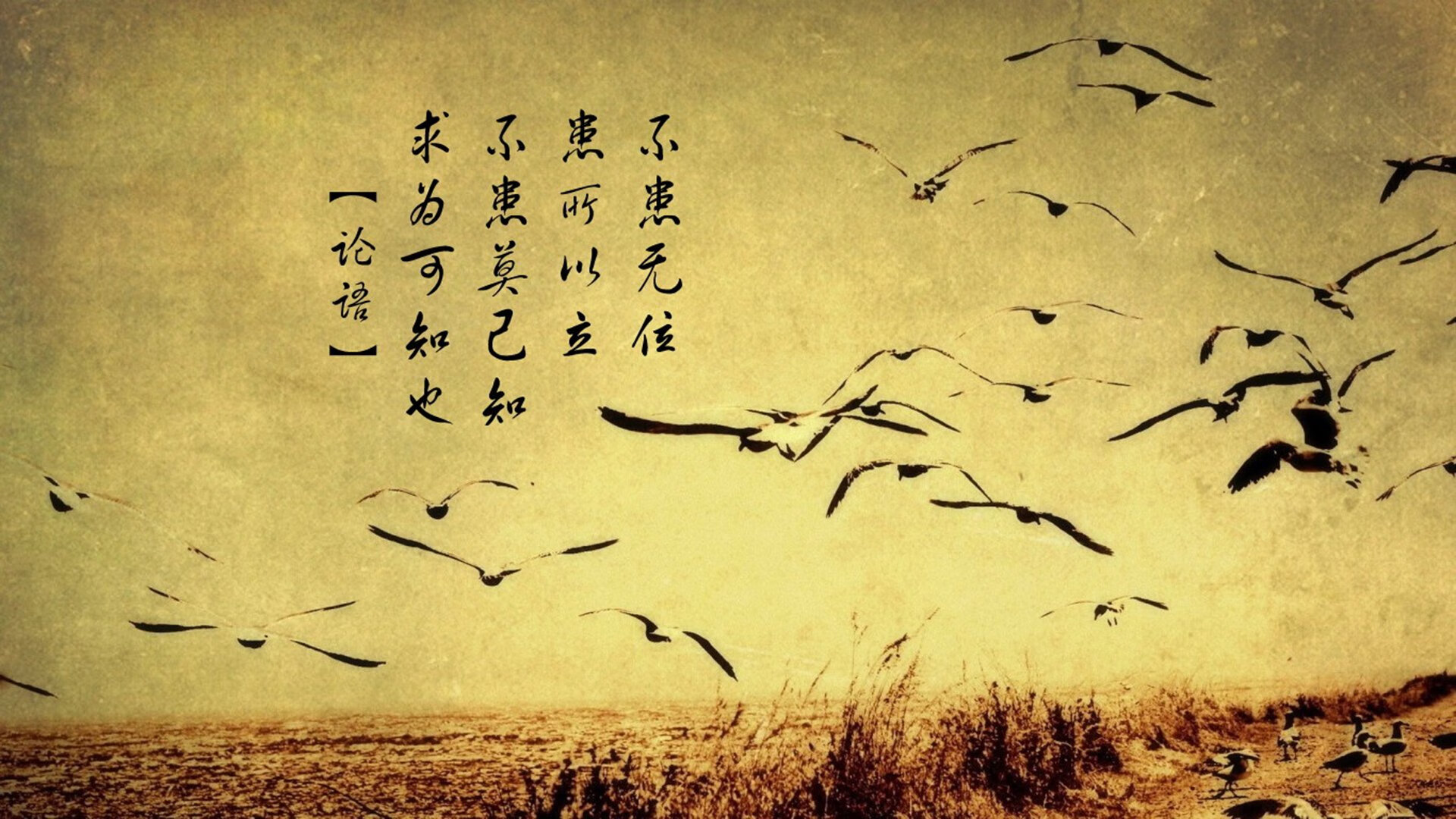 南洋之巅的橙色风暴，印尼队战术碾压泰国，黄鸭组合惊鸿一击定乾坤