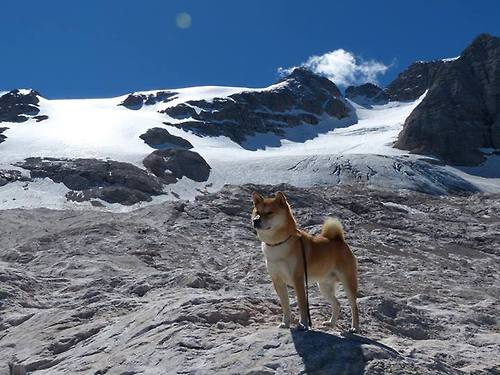 决战时刻，从基辅、基多到安联球场，那些改写命运的突围与接管