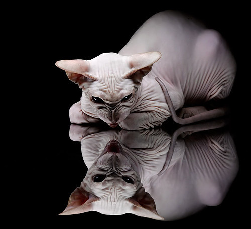 北欧风暴席卷西班牙,芬兰战术制霸马德里竞技,弗拉霍维奇帽子戏法主宰胜负走向