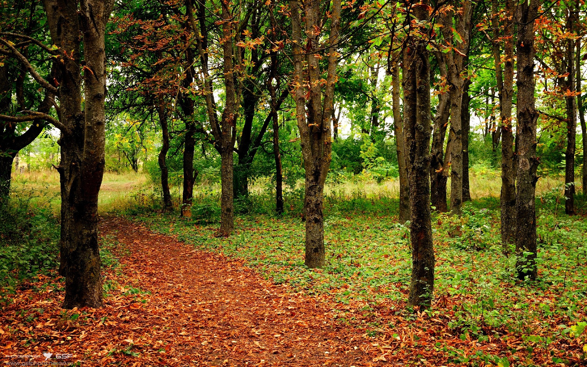 双线叙事，在慕尼黑与迈阿密见证绝对掌控