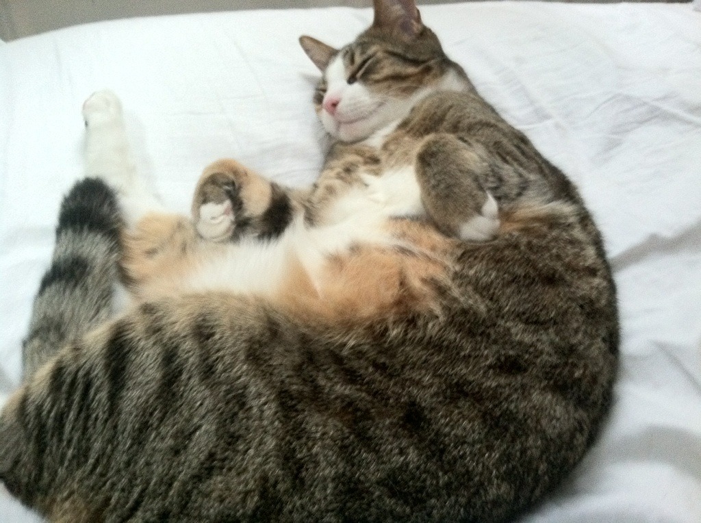 雪山脚下关键先生！乔治斩落掘金捍卫王权