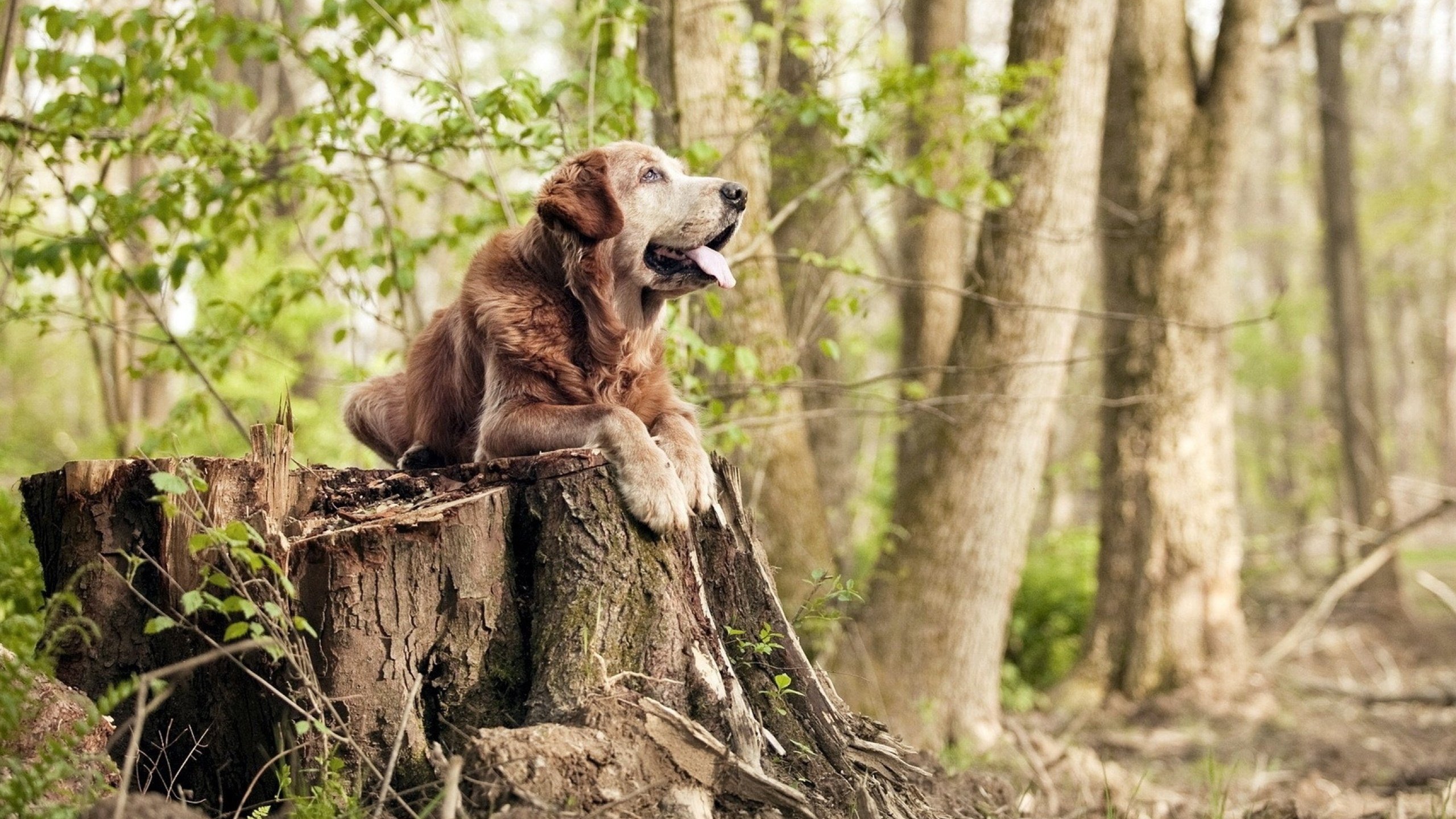 风暴眼中的寂静,勒沃库森新星维尔茨,美加墨世界杯焦点战里唯一未射门的胜利者