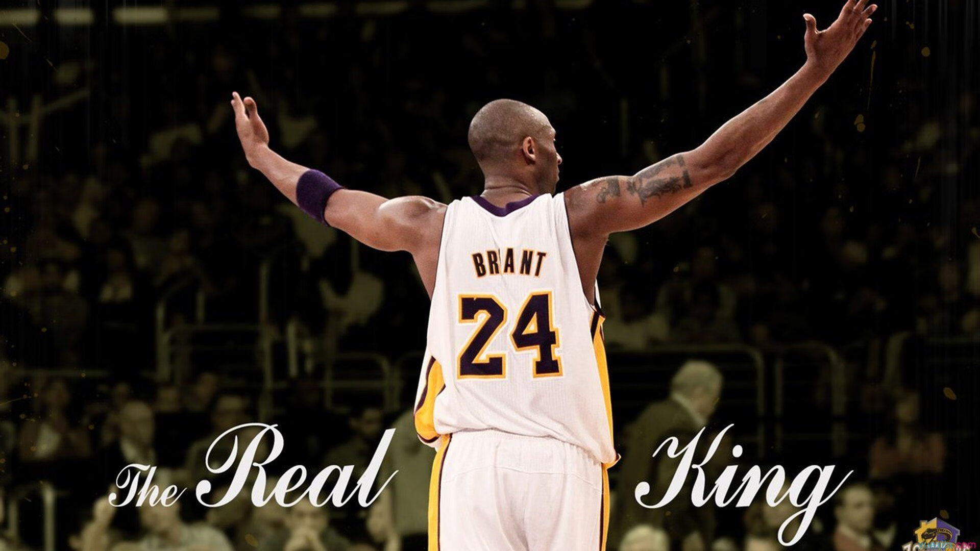 决胜局淬火，灰熊撕裂骑士，奥运前夜的钢与血