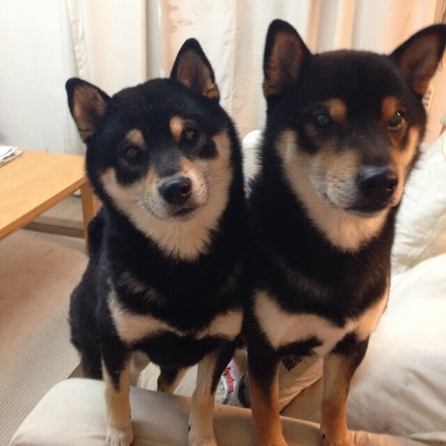 赛道与球场,当战术成为唯一语言