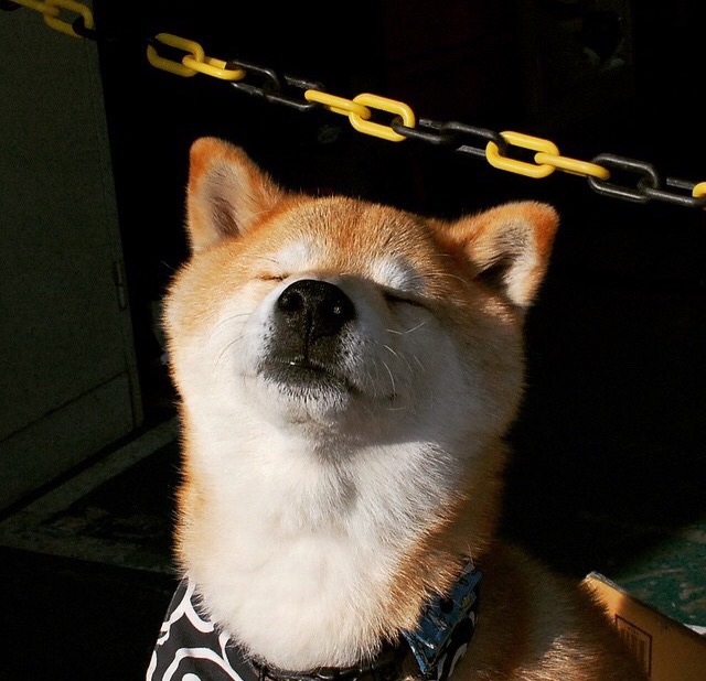 39岁之夜,数据史诗!詹姆斯轰40+三双,国王之战擒开拓者证王权