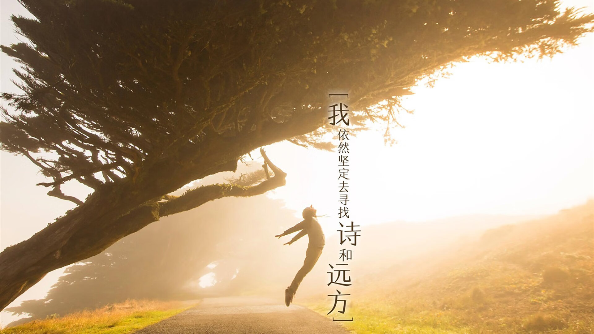 篮球与轰鸣，当制胜一球遇见方格旗挥舞