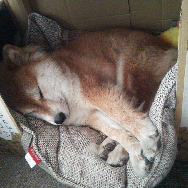 唯一性的双重奏,F1街道赛的生死时速与76人队的节奏魔术