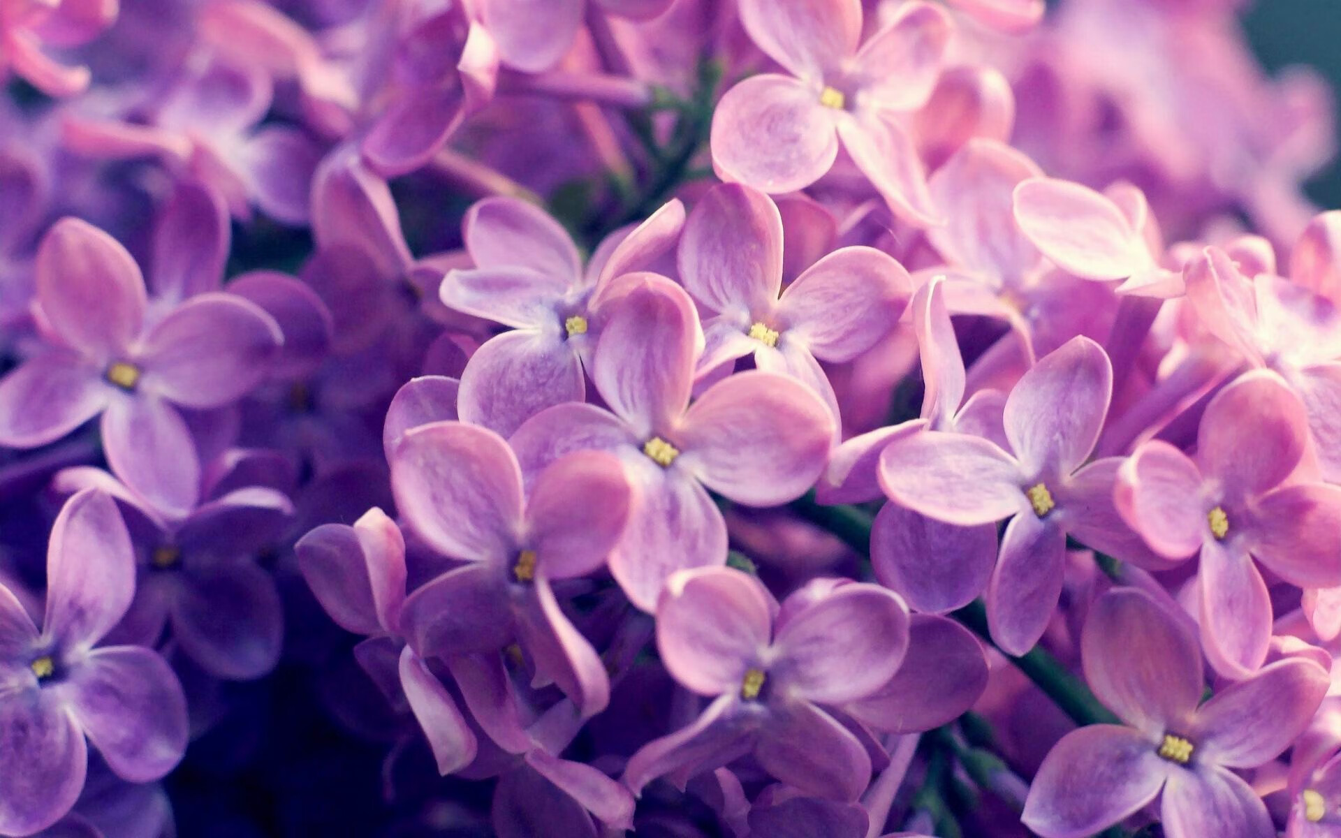 铁幕降临，蒂亚戈第78分钟让比赛提前失去悬念，新西兰终结乌拉圭奇迹之路