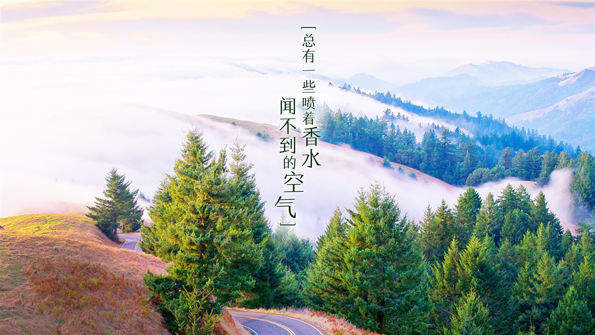 铁幕下的桑巴舞，当布罗佐维奇在2026世界杯H组为斯洛伐克撬动巴西的齿轮