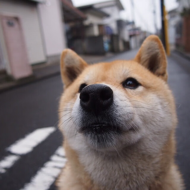 （三选一，体现唯一性视角）
