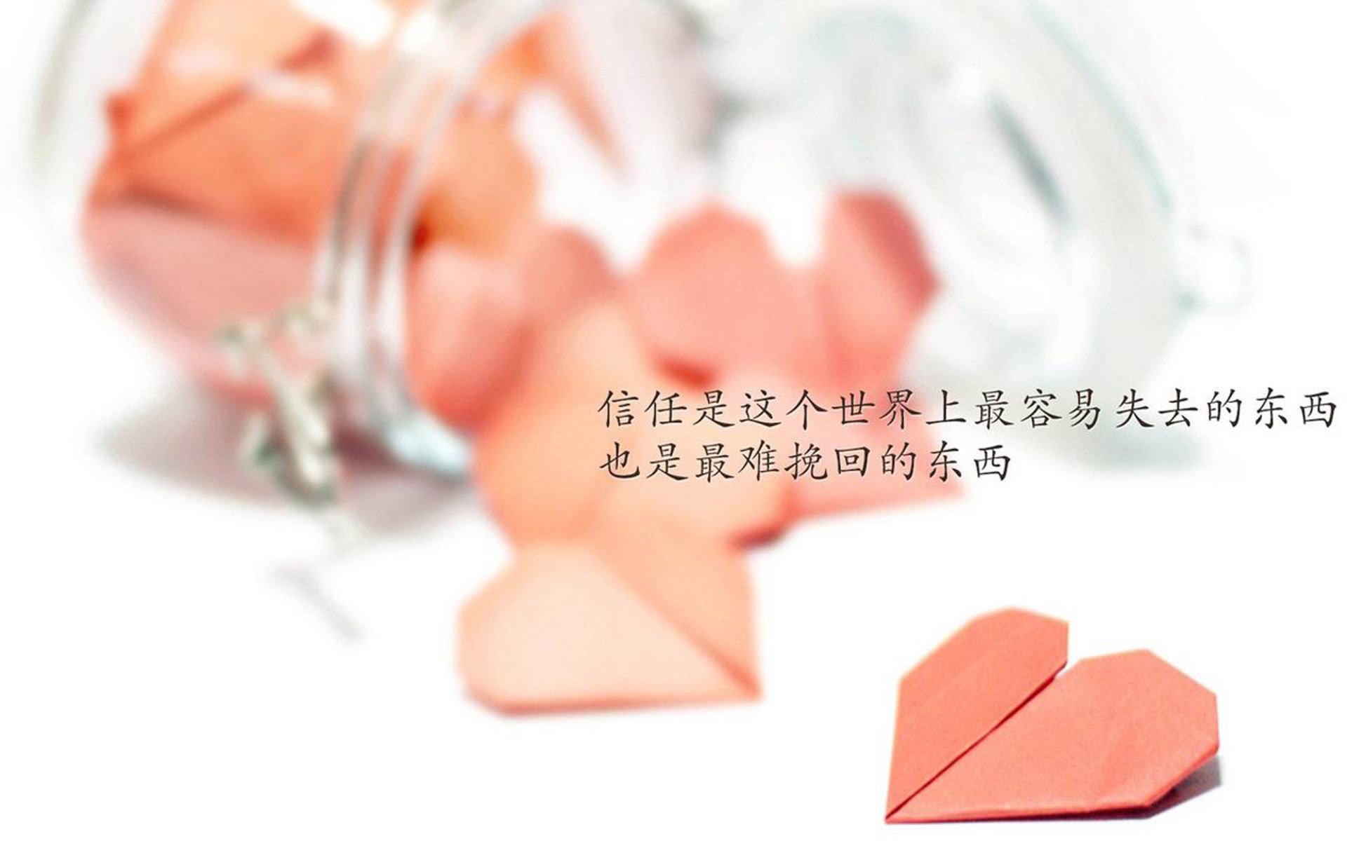 孤星耀世,2026世界杯B组暗战,孙兴慜一剑封喉,厄瓜多尔与波兰的宿命对决